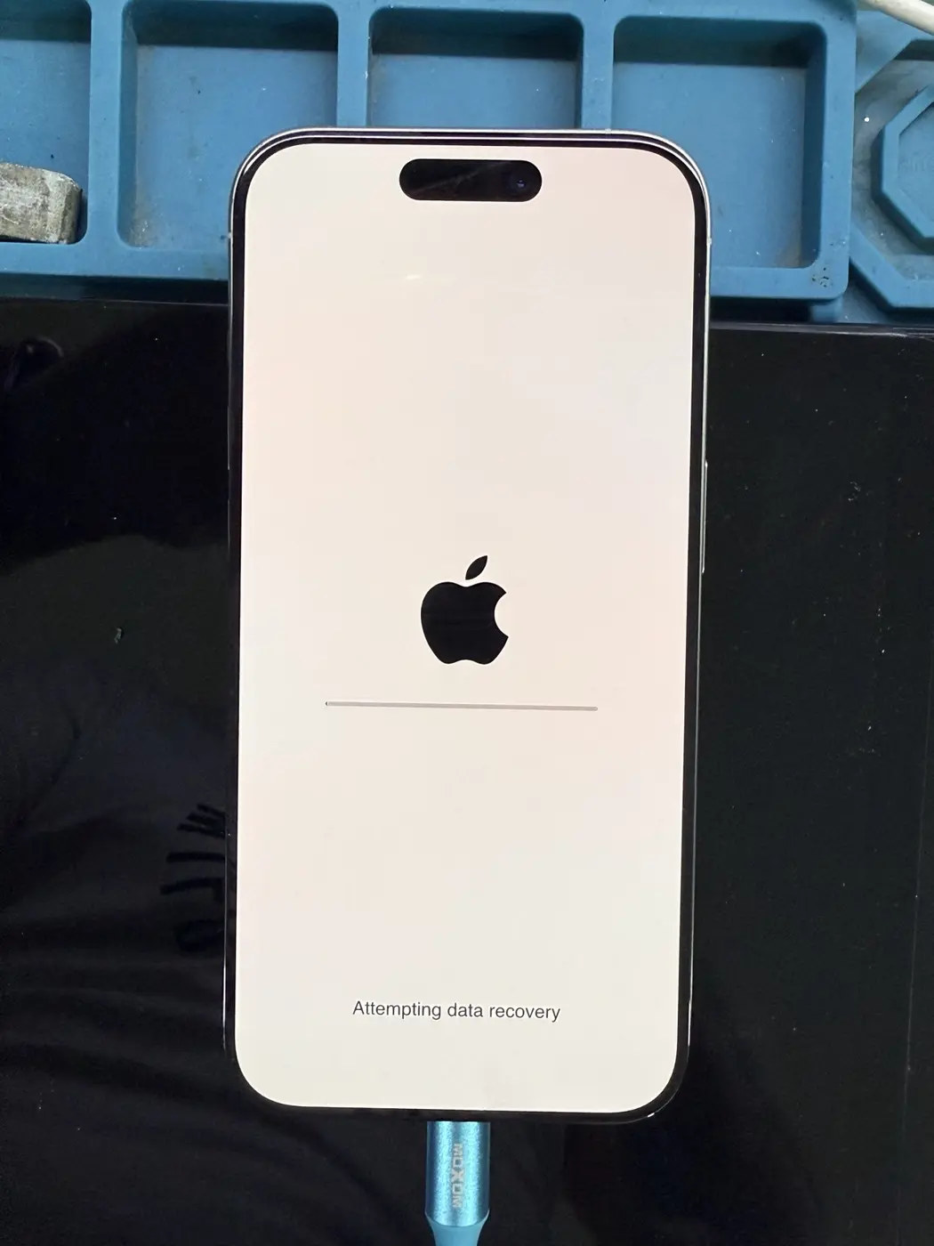 iPhone data recovery case at Samara Cell