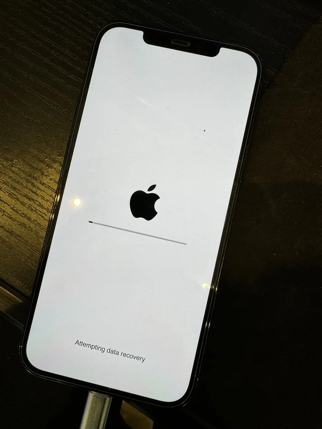 iPhone data recovery progress